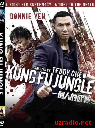 Последний из лучших / Останній з кращих / Kung Fu Jungle (2014) смотреть онлайн