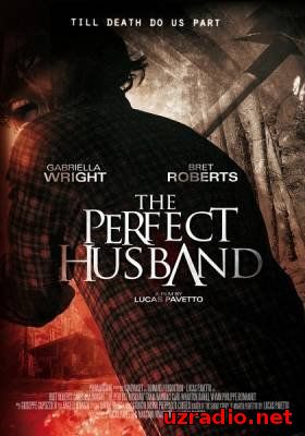 Идеальный муж / The Perfect Husband (2014) смотреть онлайн